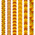 Set of stylized foliate borders made of different tree leaves, such as ginkgo, tulip tree, ash, birch, maple and poplar