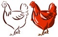 Set of stylized hen isolated