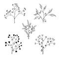 Set of stylized herb branches with flowers, leaves and hearts.