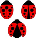 A set of stylized ladybirds