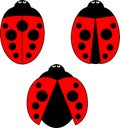 A set of stylized ladybirds Royalty Free Stock Photo