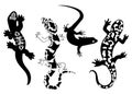 Set of stylized lizard. A collection of decorative lizards. Black white reptile illustration. Vector logo lizards