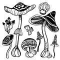 Set of stylized magic psychedelic mushrooms. Coloring page hallucinogenic, fantazy mushrooms. Black and white isolated