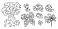 Set of stylized natural elements tree, butterfly, bee, flower, snail, ladybug.