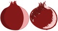 Set of Stylized pomegranate isolated