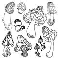 Set of stylized psychedelic mushrooms. Coloring page hallucinogenic, fantazy, magic mushrooms. Black and white isolated