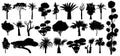 Set of subtropical trees and shrubs. Isolated vector silhouette on a white background Royalty Free Stock Photo