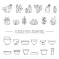 Set of succulent plants, cactuses and pots..Linear botanical vector elements.