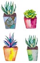 Whimsical set of trendy boho succulent plants in colorful bright ceramic pots cutout design elements