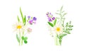 Set of summer blooming wildflowers set. Beautiful bouquets of meadow flowers and grass, chamomile, phlox, clover vector