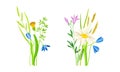 Set of summer blooming wildflowers set. Beautiful bouquets of meadow flowers vector illustration