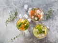 Set summer cold drinks with different citrus in glasses on a gray background. Cocktail with grapefruit, orange, lemon lime, ice an Royalty Free Stock Photo