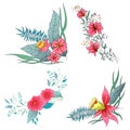 Set of 4 summer colorful tropical flowers. Floral botanical flower set isolated on white background. Hand drawn vector collection Royalty Free Stock Photo