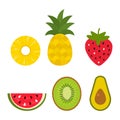 Set of summer exotic fruits. watermelon, pineapple, strawberry, kiwi, avocado Royalty Free Stock Photo