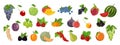 Set of summer fruits and berries, juicy multicolored assortment of delicious vegan products, vector illustration on white