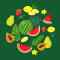 Set of summer fruits and tropical leaves in flat design, vector illustration isolated on green background. Slices of Royalty Free Stock Photo