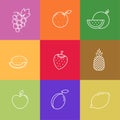 Set of summer healthy fruits in linear style on colorful squares. Grape, orange, watermelon, melon, pinapple, apple, plum, lemon, Royalty Free Stock Photo