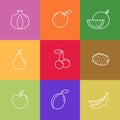 Set of summer healthy fruits in linear style on colorful squares. Pomegranate, orange, watermelon, pear, cherry, kiwi, apple, plum