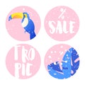 Set of summer labels for sale with toucan, palm leaves and text on pink circles. Flat design. Vector background