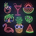 Set of summer neon sings. Neon isolated icons. Flamingo, pineapple, cocktail, tropic leaves, palms. Vintage electric signboard Royalty Free Stock Photo