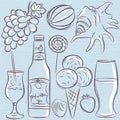 Set of summer symbols, clams, shells, cocktail, fruits, beer, i Royalty Free Stock Photo