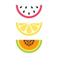 Set of summer, tropical fruit vector icons Royalty Free Stock Photo