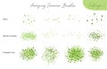 Set of summer vector foliage ecology brushes - silhouettes of summer leaves, foliage of trees, different greenery types