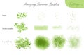 Set of summer vector foliage ecology brushes - silhouettes of summer leaves, foliage of trees, different greenery types Royalty Free Stock Photo