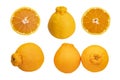 Set of Sumo mandarin citrus fruit, a hybrid between Kiyomi and ponkan, isolated on white background