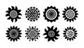 Set Sunflower icons isolated on white background. Vector floral illustration bundle. Botanical summer concept. For cutting,