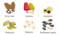 Set of sunflower seeds, pistachios, pine nuts, cashew, chestnut, popcorn. Vector illustration in flat cartoon style