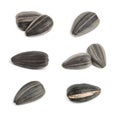 Set of sunflower seeds on white background Royalty Free Stock Photo