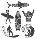 Set of surfing vintage design elements. Surf logo vector illustration. Surfboard logotypes. Retro