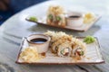 Set of sushi Bonito rolls with salmon, cheese and smoked tuna flakes. Traditional Japanese food Royalty Free Stock Photo