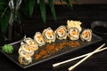 set of sushi rolls on a black plate on a black wooden background with green leaves of a houseplant Royalty Free Stock Photo