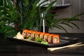 Set of sushi rolls on a black plate on a black wooden background with green leaves of a houseplant Royalty Free Stock Photo