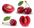 Set sweet cherry berry. one cut in half with bone, two a branch with leaf, and single