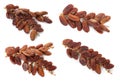 Set with sweet dried dates on white background Royalty Free Stock Photo