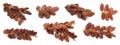 Set with sweet dried dates on white background. Banner design Royalty Free Stock Photo