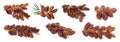 Set with sweet dried dates on white background. Banner design Royalty Free Stock Photo