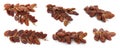 Set with sweet dried dates on white background. Banner design Royalty Free Stock Photo