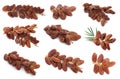 Set with sweet dried dates on white background Royalty Free Stock Photo