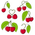 Set of sweet juicy bright cherry fruit hand drawn for food design on white