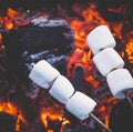 Set of sweet marshmallows roasting over red fire flames. Marshmallow on skewers roasted on charcoals Royalty Free Stock Photo