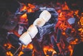 Set of sweet marshmallows roasting over red fire flames. Marshmallow on skewers roasted on charcoals Royalty Free Stock Photo