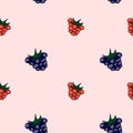 Set of sweet patterns. Seamless backgrounds with raspberries.