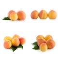 Set of sweet peaches Royalty Free Stock Photo