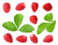 Set with sweet ripe wild strawberries and green leaves isolated on white Royalty Free Stock Photo