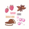 Set of sweet toppings anise, raspberry, chocolate cookie and bubble gum. Hand drawn food