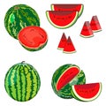 Set of sweet watermelons in cartoon style for banner, flyer, menu. Whole and sliced, half and quarter of a watermelon